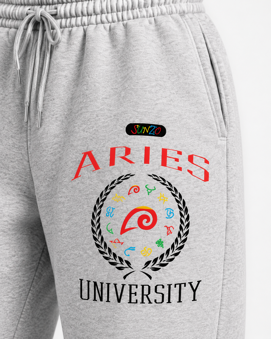 Aries University Set