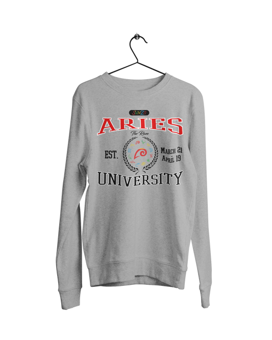 Aries University Crew Neck Sweater