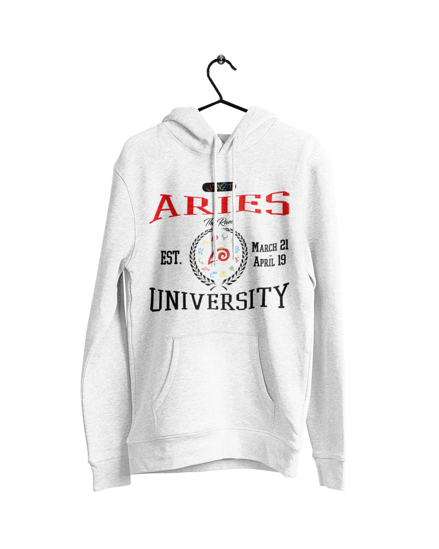 Aries University Hoodie
