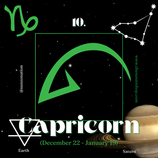 Capricorn Premium Pillow