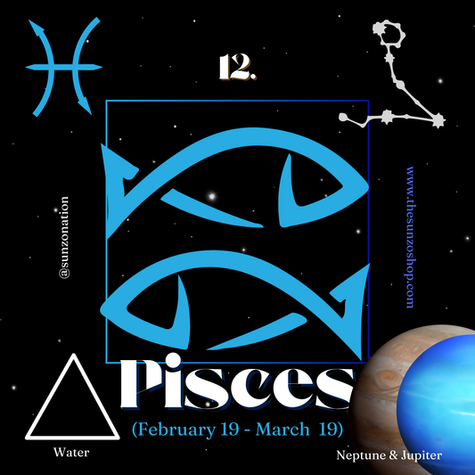 Pisces Premium Pillow