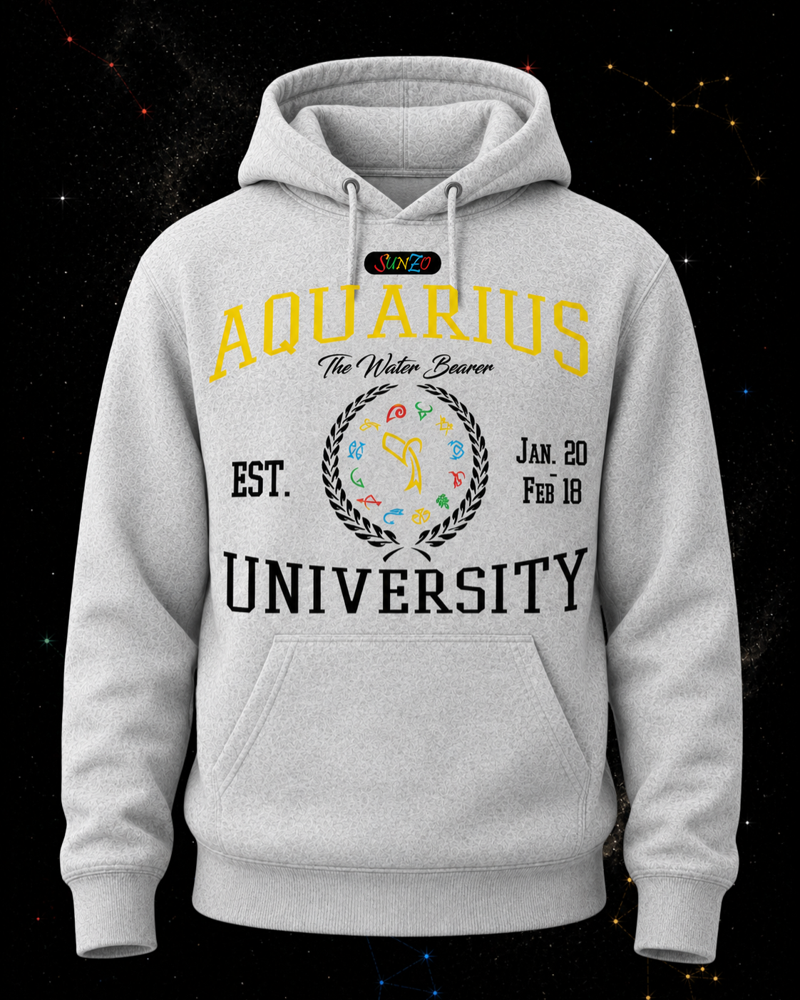 Aquarius University Hoodie
