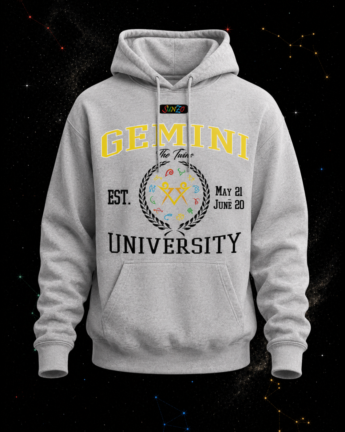Gemini University Hoodie
