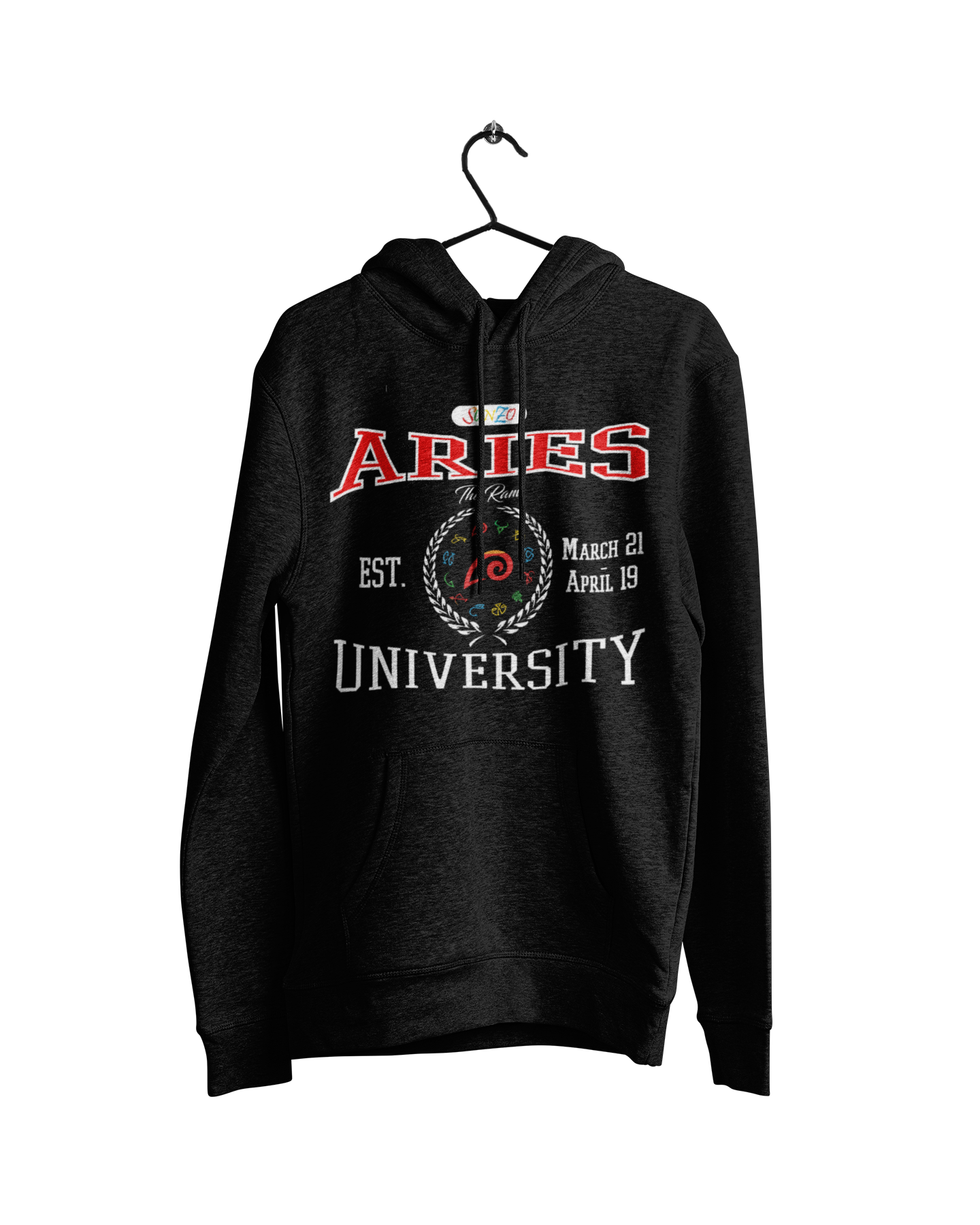 Aries University Hoodie