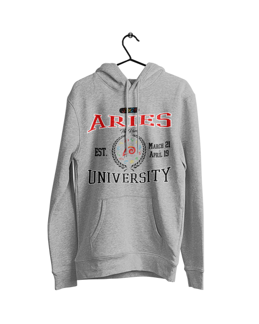 Aries University Hoodie